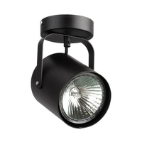 Edit Fletch Single Spotlight - Black