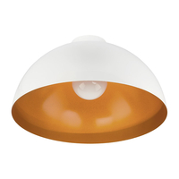 Edit Hemisphere Flush Ceiling Light - White and Gold
