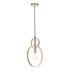 Edit Hoop Ceiling Pendant Light - Antique Silver