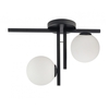 Edit Link 2 Light Flush Ceiling Light - Black & White