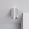 Edit Quartz Aluminium Ceiling Spotlight - Silver