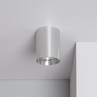 Edit Quartz Aluminium Ceiling Spotlight - Silver