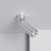 Edit Quartz Single Spotlight - Silver
