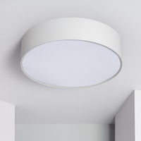 Edit Ranje Flush Wall Light - White