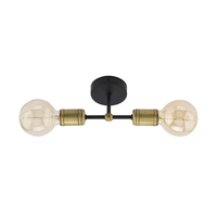 Edit Retro 2 Light Flush Ceiling Light - Black
