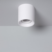 Edit Space Ceiling Light White