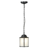 Edit Spey Outdoor Pendant Porch Lantern - Black