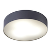Edit Stadium Flush Ceiling Light - Graphite