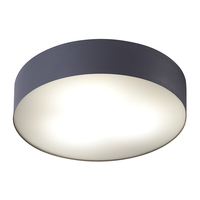 Edit Stadium Flush Ceiling Light - Graphite