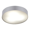 Edit Stadium Flush Ceiling Light - Silver