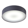 Edit Stadium LED Flush Ceiling Light - Graphite