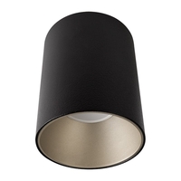 Edit Tone Ceiling Spotlight - Black & Silver