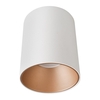 Edit Tone Ceiling Spotlight - White & Gold