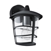 Eglo Aloria Outdoor Hanging Lantern Wall Light - Black
