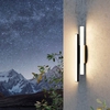 Eglo Serricella LED Outdoor Twin Wall Light - Black