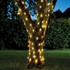 Firefly Warm White Solar LED Micro Wire Fairy Lights - 50 Lights