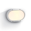 Guard Outdoor Oval Flush Light - White