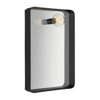 Image Mirror Wall Light - Black