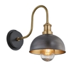Industville Swan Neck 8 Inch Dome IP65 Wall Light - Pewter & Brass