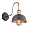 Industville Swan Neck 8 Inch Dome IP65 Wall Light - Pewter & Copper