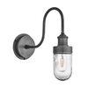Industville Swan Neck Glass Wall Light - Pewter