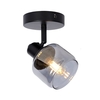 Lucide Bjorn Ceiling Spotlight - Black