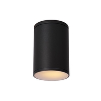 Lucide Tubix Outdoor Flush Ceiling Light - Anthracite