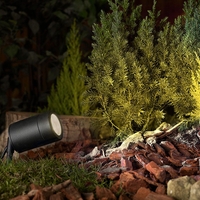 Luna Garden Spike Light - Black