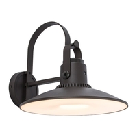 Lutec Darli LED Outdoor Wall Light with Speaker - Dark Grey