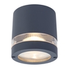 Lutec Focus Outdoor Flush Ceiling Light - Dark Grey