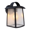 Lutec Kelsey Outdoor Hanging Lantern Wall Light - Black