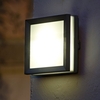 Lutec Mini Seine Plain LED Outdoor Wall Light - Graphite