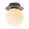 Mini Flush Ceiling Light - Black