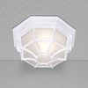 Pane Outdoor Flush Ceiling Light - White