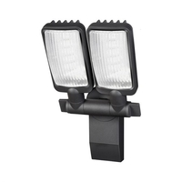 Premium City 30W Daylight LED Twin Floodlight