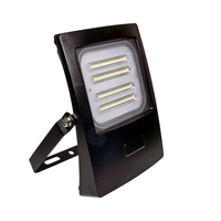 Prolite 100W Daylight LED Slimline Floodlight