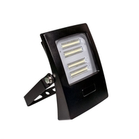 Prolite 30W Warm White LED Slimline Floodlight