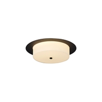Riley Flush Light - Black