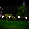 Suri Atlas Solar LED Stake Lights - Black - Set of 4