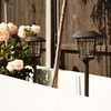 Suri Solar Metal Cage Stake Lights - Set of 2