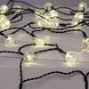 Suri Warm White Solar LED Multi-Function String Lights - 30 Lights