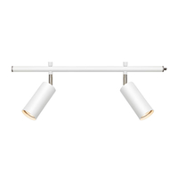 Tube 2 Light Expand Track Light - 500mm - White