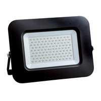 Value 50W Daylight LED Floodlight