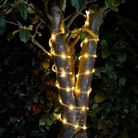 Warm White Solar LED Rope Light - 10 Metre