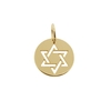 9ct Yellow Gold Star Of David Disc Pendant
