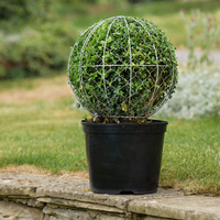 Ball Topiary Frame