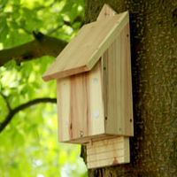 Bat Box