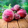 Beetroot Plants - Boltardy