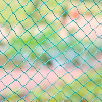 Bird Protection Net