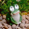 Bright Eye Frog